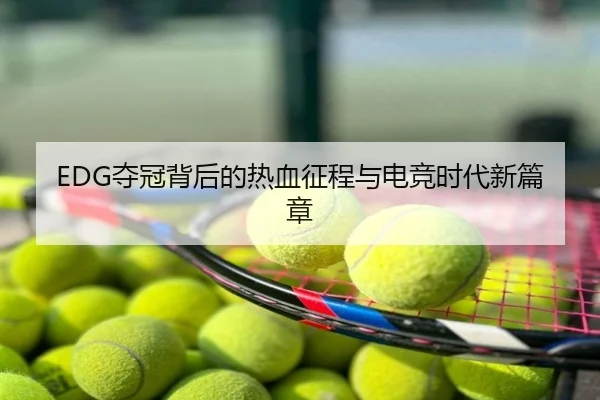 EDG夺冠背后的热血征程与电竞时代新篇章